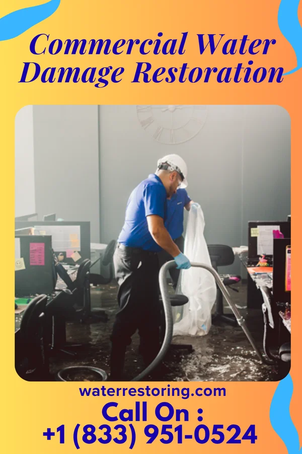 Commercial Water Damage Restoration in Colmar Manor, MD